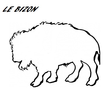 buffalo-13-coloring-page-coloriage.gif