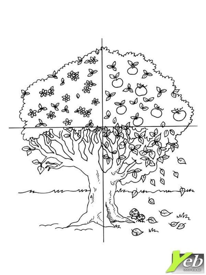 coloriage-arbre-235.jpg