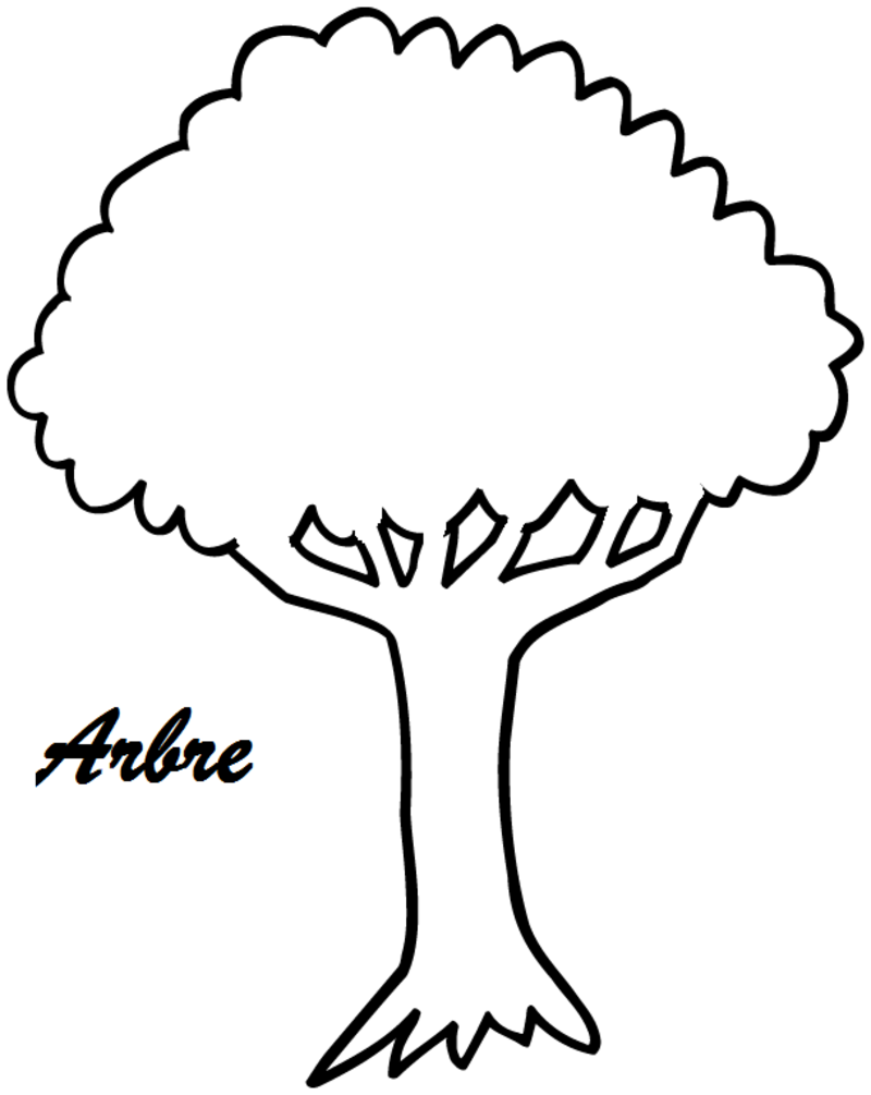 coloriage-arbre-7-Copie1.png