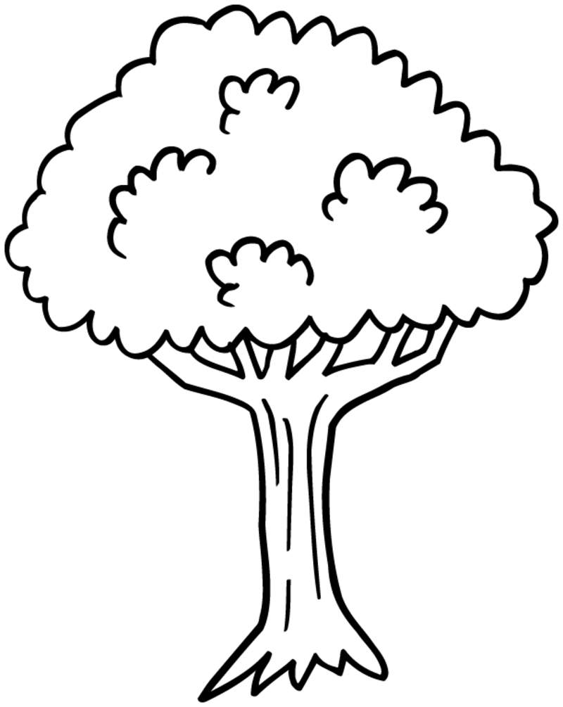 coloriage-arbre-7.png