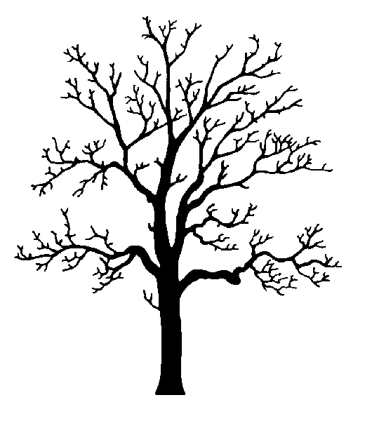 coloriage-arbre-hiver-16292