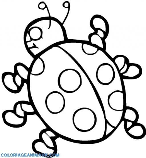 coloriage-coccinelle-de-dos.jpg