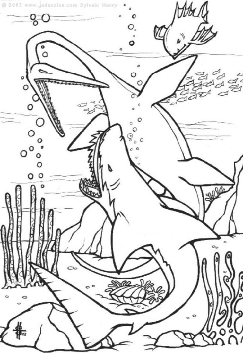 coloriage-dinosaures-marins_sbb.jpg