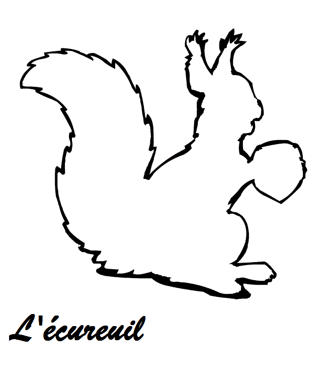 coloriage-ecureuil-23.gif