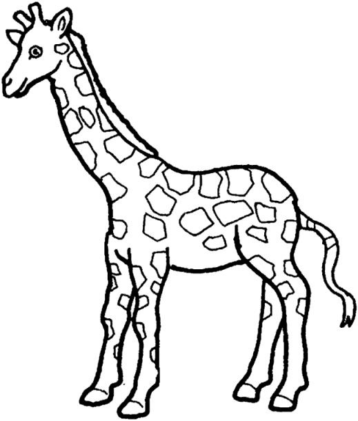 coloriage-girafe-12934.gif