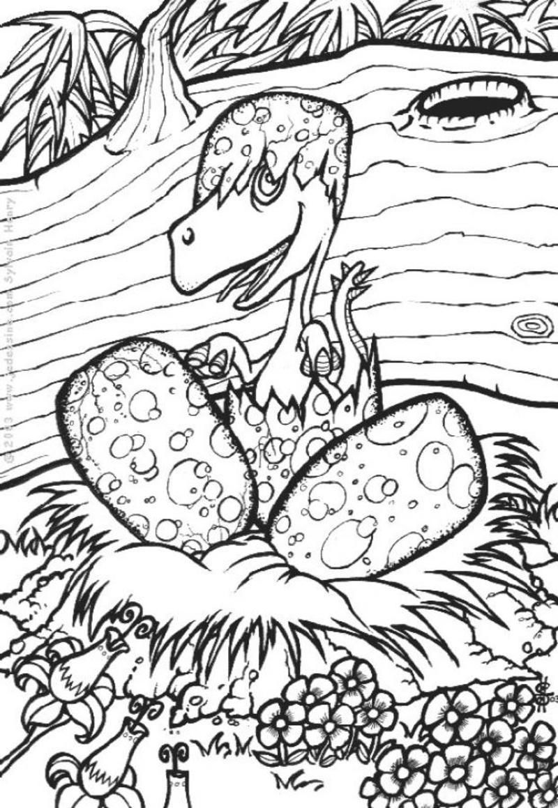 coloriage-naissance-d-un-dinosaure_afc.jpg