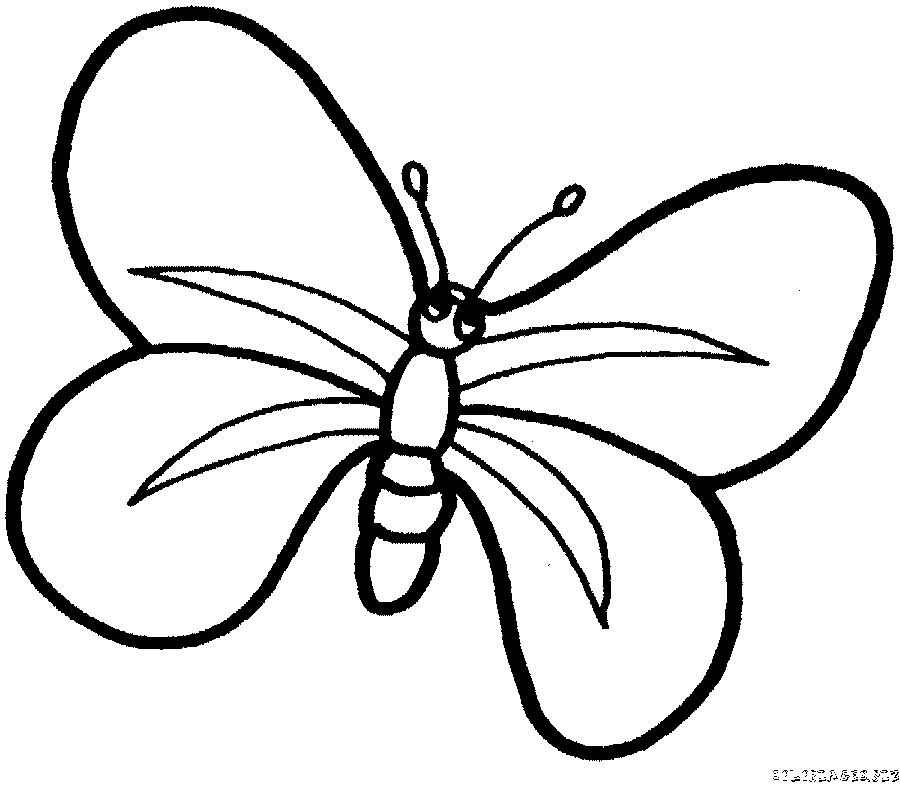 coloriage-papillon-11.gif