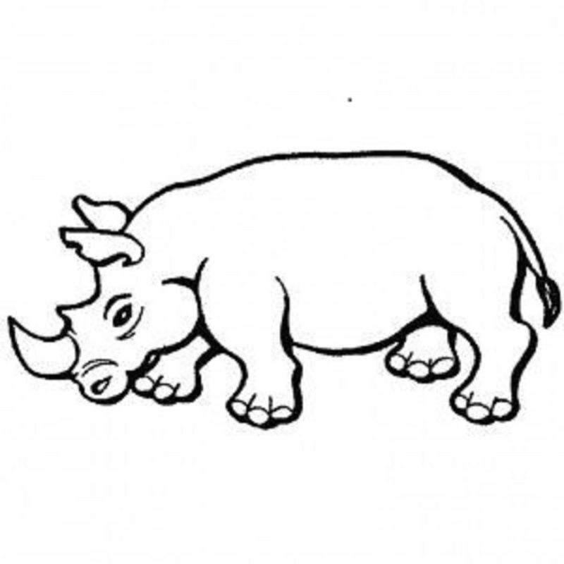 coloriage-rhinoceros-300x300.jpg