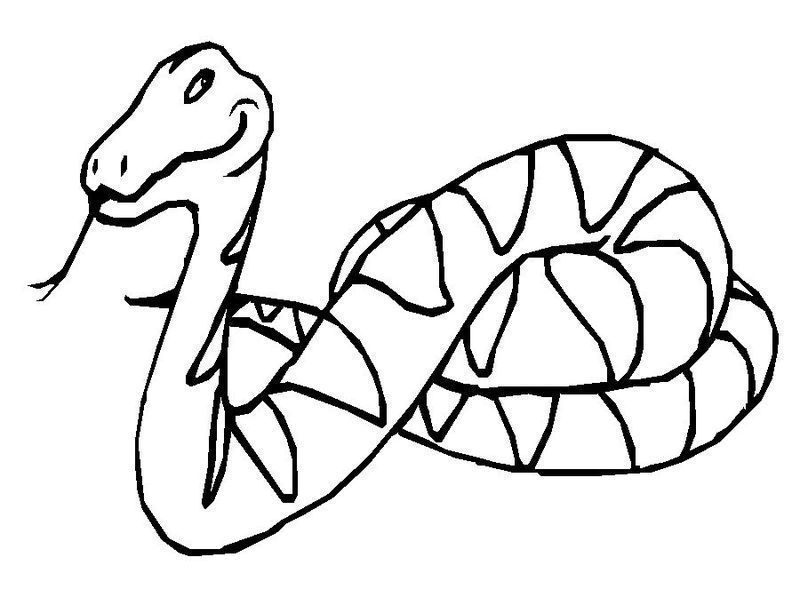 coloriage-serpent-1228676849.jpg