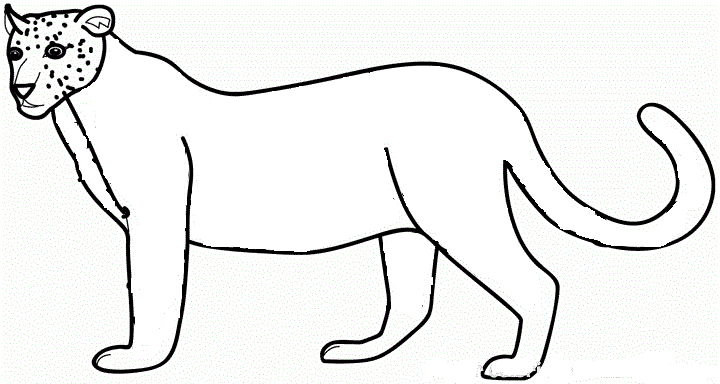 coloriage_l_coloriage20tigre200040.gif