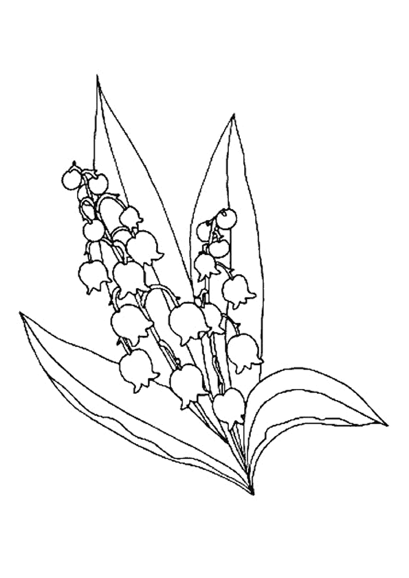 coloriages-printemps-muguet-6580.gif