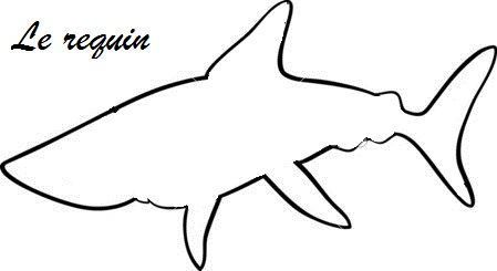 depositphotos_46742267-shark-animal-cartoon-coloring-book.jpg