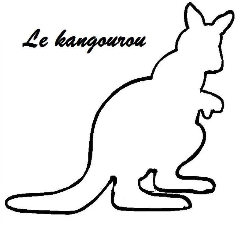 dessin-kangourou-40.jpg