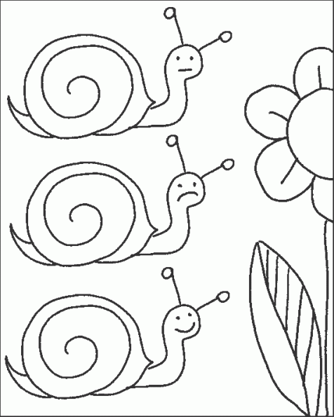 escargot-8_595.gif