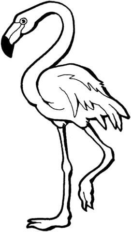 flamingo-1-coloring-page.gif