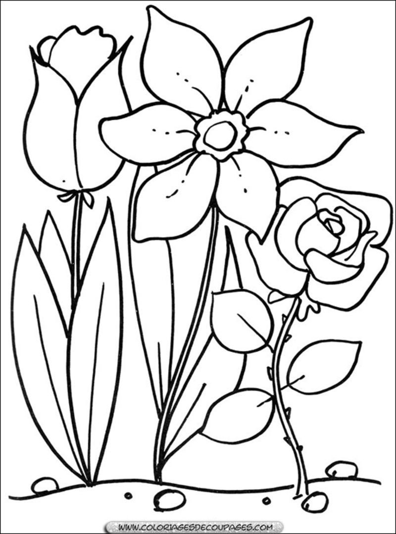 fleur-72-coloriage.jpg