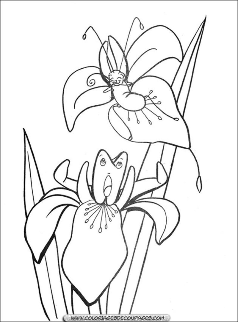 fleur-73-coloriage.jpg