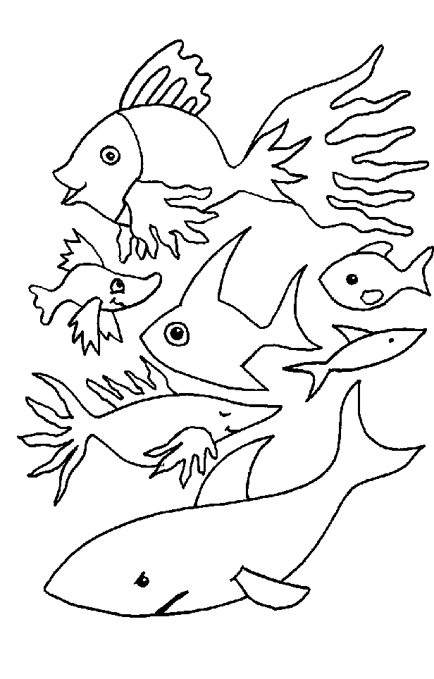 sept-especes-de-poissons-d-avril.gif