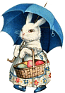 umbrellabunny.gif